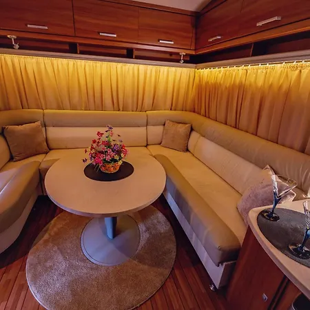 каравани Avi Iris фичоза * Warna